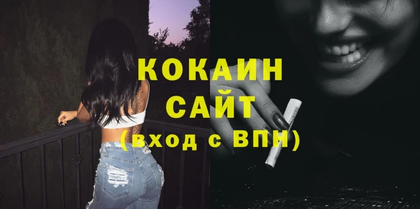 mix Бородино